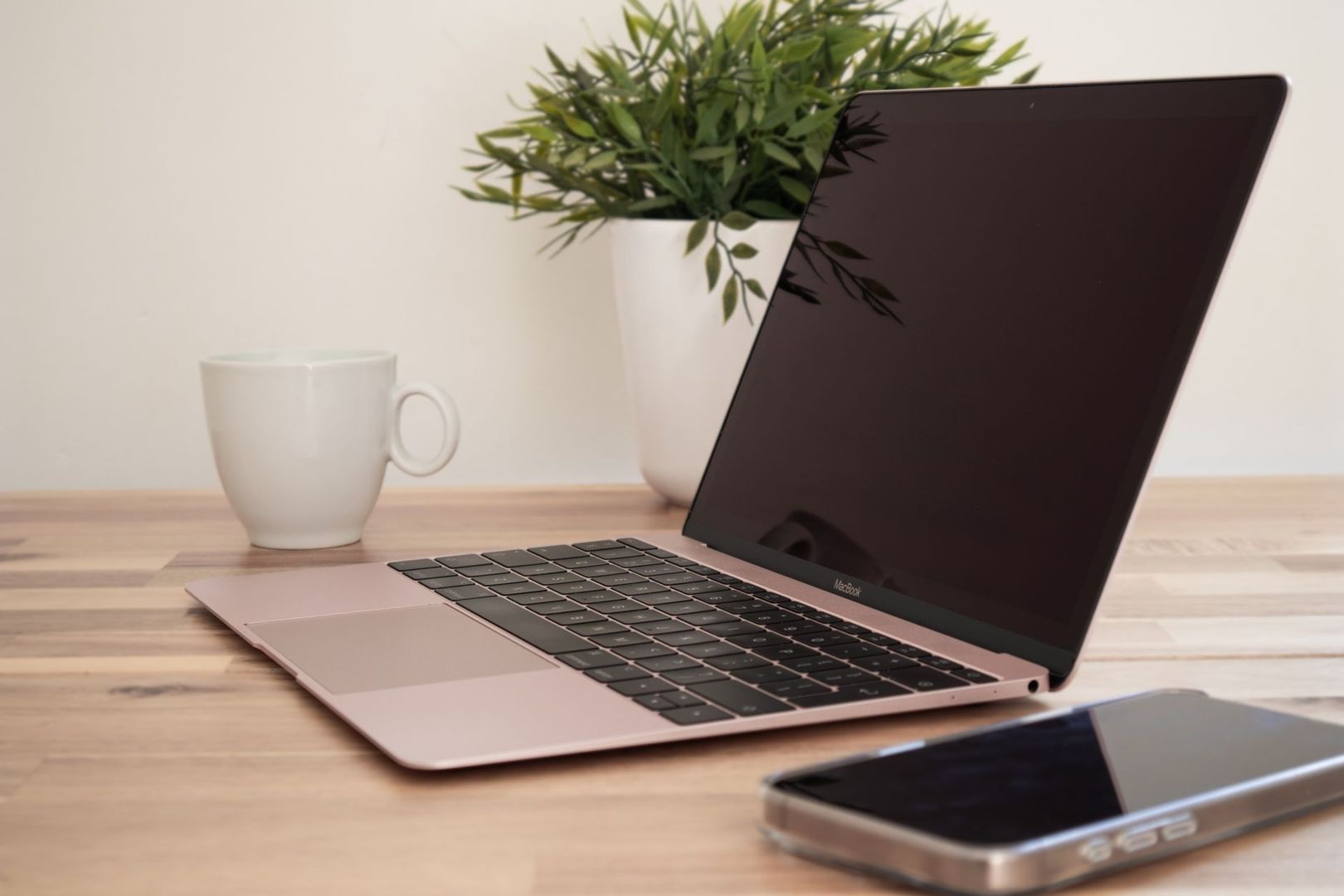 Laptop and smartphone arranged on a tidy wooden workspace with a plant